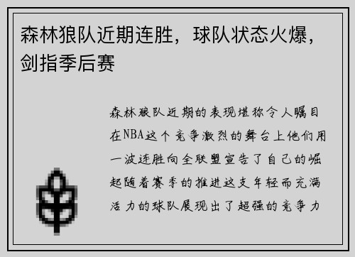 森林狼队近期连胜，球队状态火爆，剑指季后赛