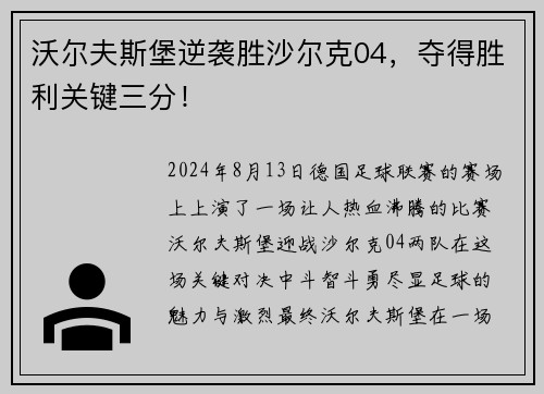 沃尔夫斯堡逆袭胜沙尔克04，夺得胜利关键三分！