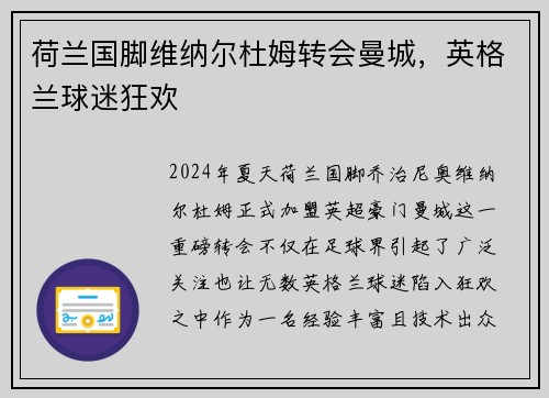 荷兰国脚维纳尔杜姆转会曼城，英格兰球迷狂欢