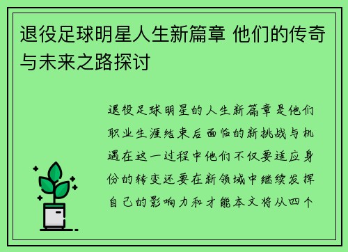 退役足球明星人生新篇章 他们的传奇与未来之路探讨