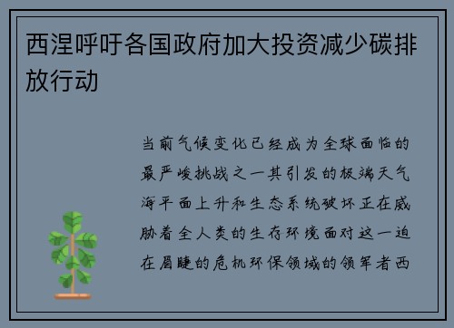 西涅呼吁各国政府加大投资减少碳排放行动