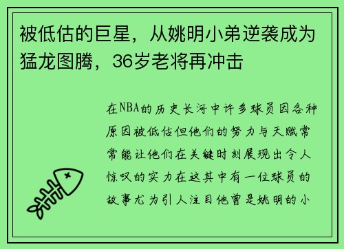被低估的巨星，从姚明小弟逆袭成为猛龙图腾，36岁老将再冲击