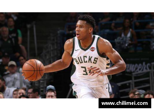 NBA赛场风采：全方位揭秘球迷独家视角