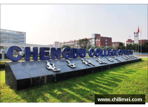 电子科技大学学子：荣耀与梦想的碰撞 - 副本