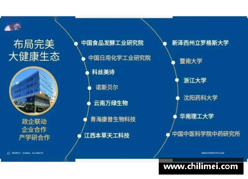 优发国际随优而动一触即发德甲8线参谋策略：实力与机会的完美平衡
